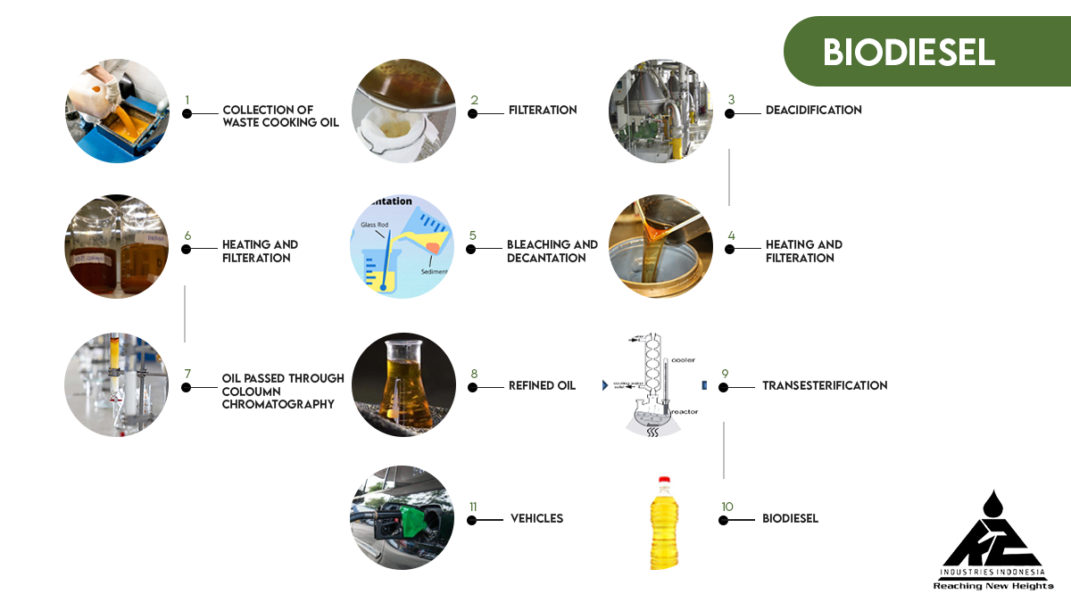 biodiesel feedstock